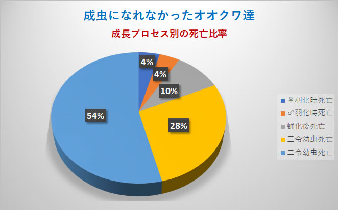 死亡に関する集計 クワガタとカブトムシの販売 通販専門店 月夜野きのこ園販売情報